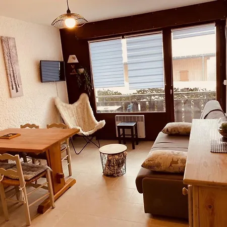 Moderne Avec Balcon Et Garage, Proche Piste Verte Et Centre, - Fr-1-459-118 公寓